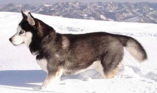 十二星座女生谁最萌 十二星座女生谁最萌