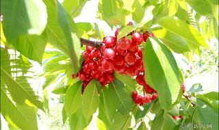 天水20天狂赚近14亿