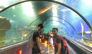 侏罗纪公园游戏攻略 侏罗纪公园游戏攻略