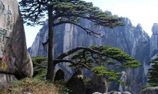 中国旅游最好的地方