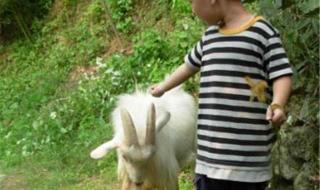 不是妈妈就不行1一6