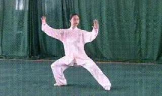 42式太极剑背向演练 42式太极剑背向演练